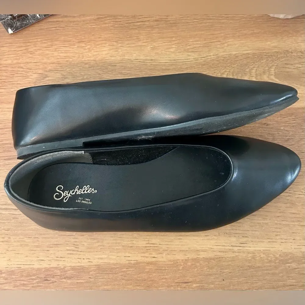 Seychelles Dreamer Pointed Toe Flat Size 9